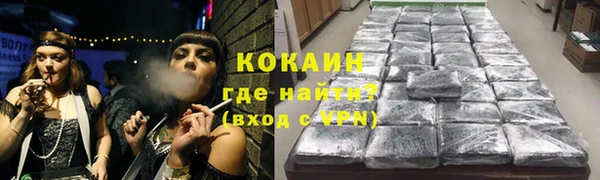 индика Богородицк