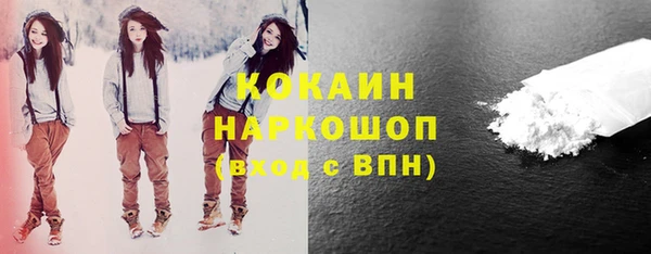 индика Богородицк