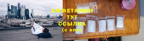молекула духа Белоозёрский