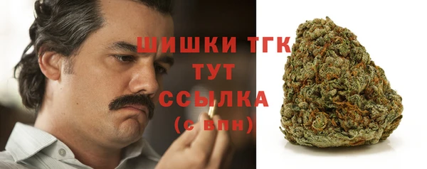 индика Богородицк
