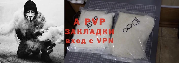 индика Богородицк