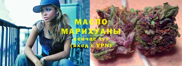 индика Богородицк