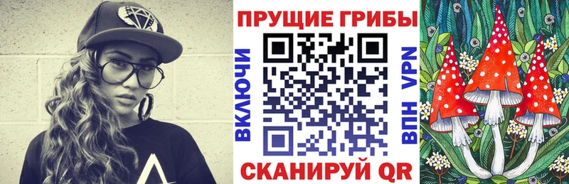 наркотики  это наркотические препараты  Галлюциногенные грибы Psilocybe  Великие Луки 